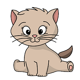 Chaton Assis