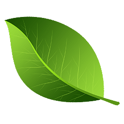 Feuille