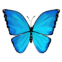 Papillon Bleu