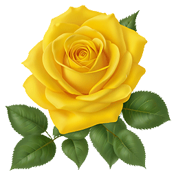Rose Jaune