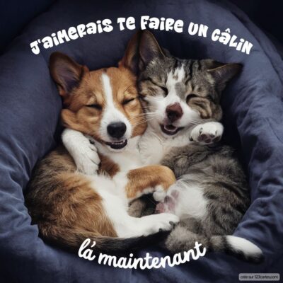 Deux animaux, un chiot et un chat, se blottissent ensemble dans un coussin, avec un texte doux sur l'amitié à distance.