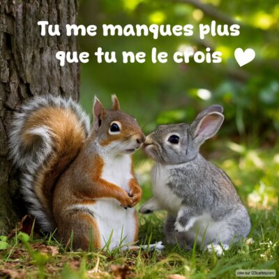 Squirrel et lapin se rapprochent tendrement dans un cadre naturel, avec le texte « Tu me manques plus que tu ne le crois ».