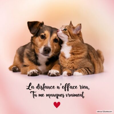 Chien et chat côte à côte, l'un regarde tendrement l'autre. Texte en dessous : La distance n’efface rien, tu me manques vraiment.