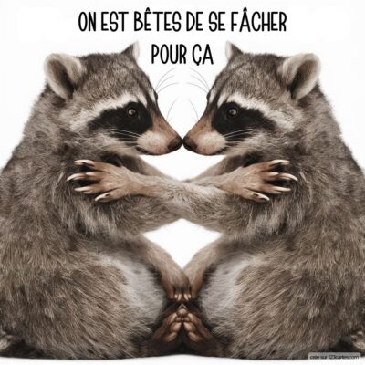 Image de deux ratons laveurs se tenant par les pattes, avec le texte humoristique On est bêtes de se fâcher pour ça.