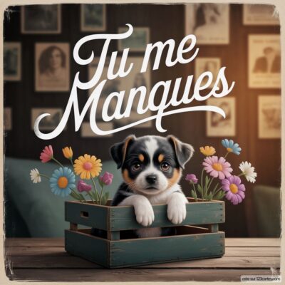 Chien mignon dans une caisse en bois, entouré de fleurs, avec le texte Tu me Manques au-dessus.