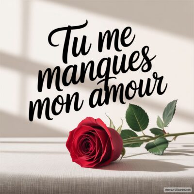 Texte en écriture cursive : Tu me manques mon amour avec une rose rouge posée sur une surface claire. Feuilles vertes visibles.