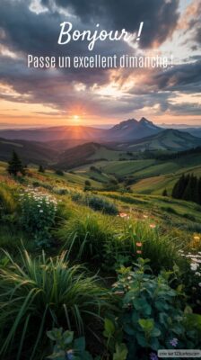 Un paysage de montagne au lever du soleil, avec des collines verdoyantes et des fleurs éparses au premier plan.