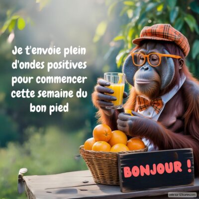 Un singe souriant portant un chapeau et des lunettes, assis devant une caisse d'oranges, tient un verre de jus frais.