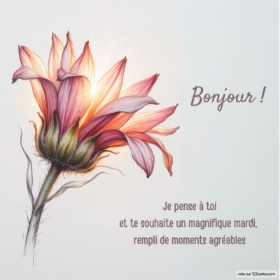 Illustration d'une fleur épanouie, avec des pétales délicats s'ouvrant doucement, illuminée par une lumière douce, évoquant la douceur d'un mardi.