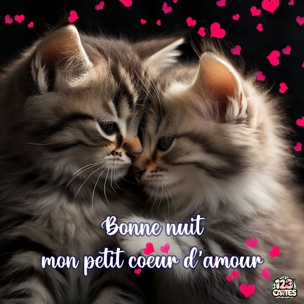 Bonne Nuit Amour De Ma Vie