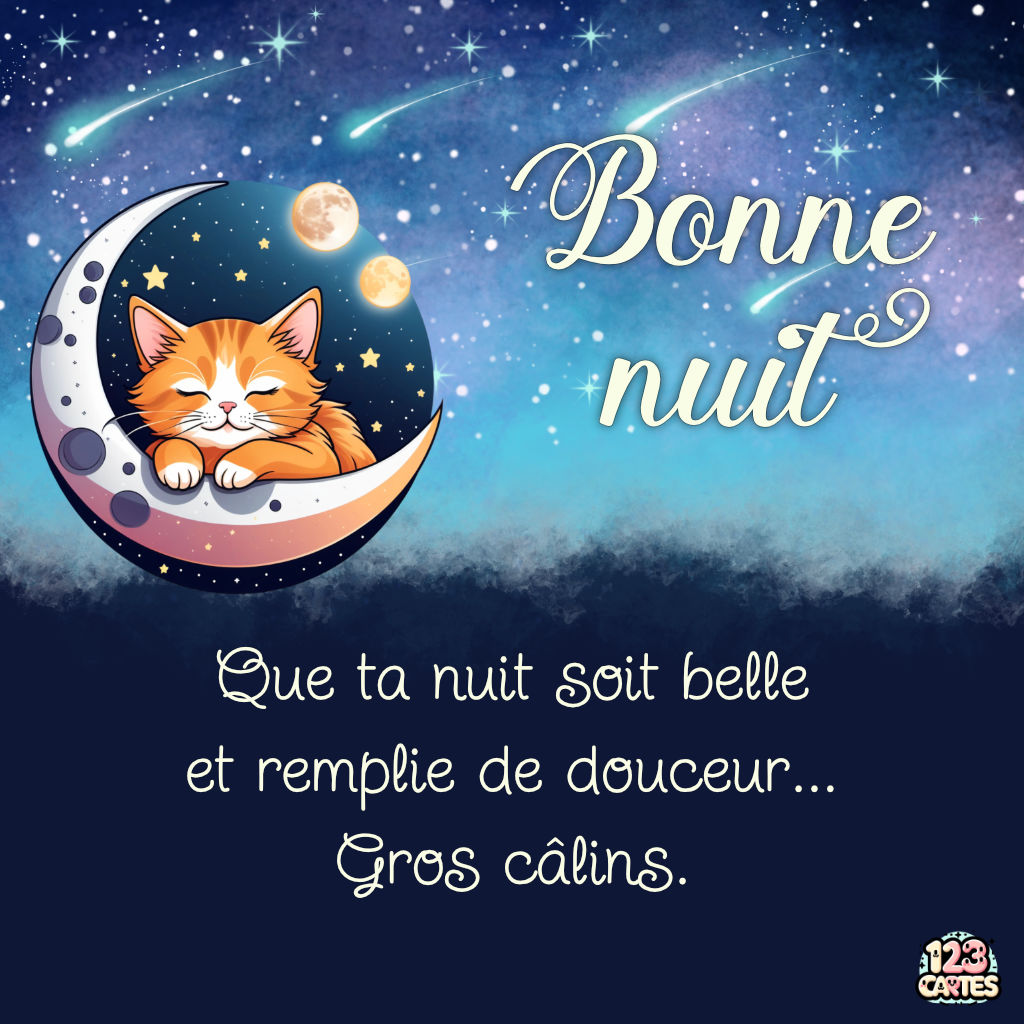 Bonne Nuit Calins