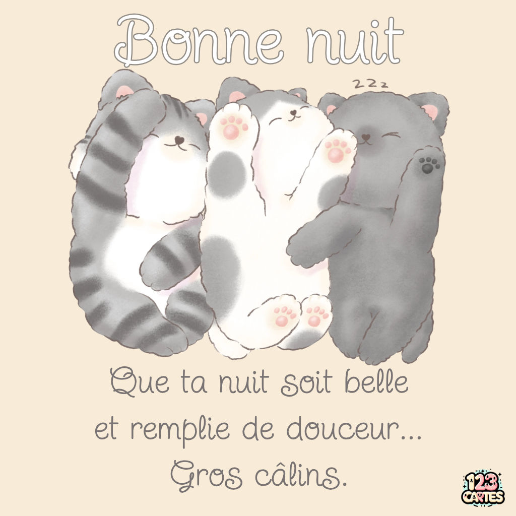 Bonne Nuit Douce Nuit