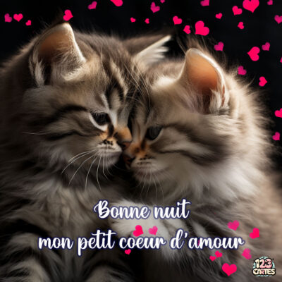 Deux chatons aux pelages gris et doux, se regardant tendrement, entourés de cœurs roses sur fond noir. Texte : Bonne nuit mon petit cœur d'amour.