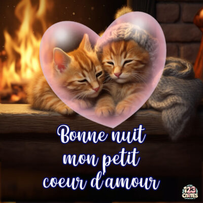 Deux chatons orange endormis, entourés d'un cœur rose, avec un texte en bleu : Bonne nuit mon petit cœur d'amour.