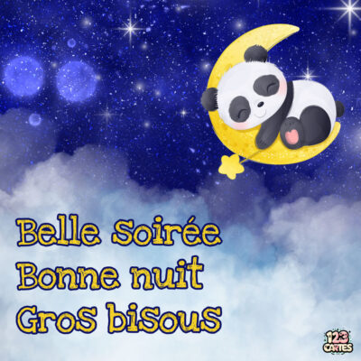 Un panda mignon dort sur une lune jaune, avec un fond étoilé. Texte : Belle Soirée, Bonne nuit, Gros bisous.
