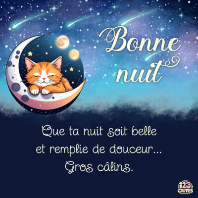 Illustration d'un chaton endormi sur une lune, avec un ciel étoilé et un texte Bonne nuit en haut.