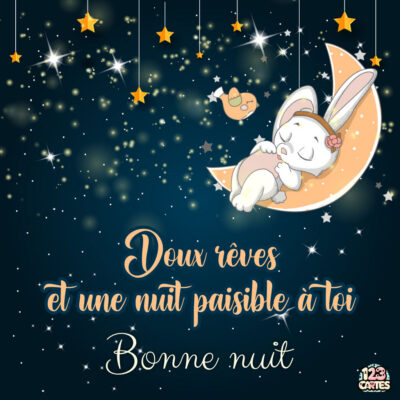 Un lapin blanc endormi sur une lune, entouré d'étoiles et de la phrase Bonne nuit en lettres dorées.