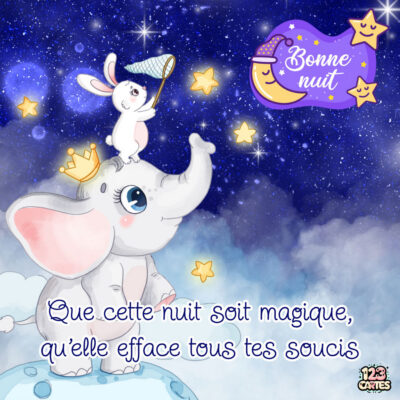 Un éléphant souriant porte un lapin avec un filet sous un ciel étoilé. Texte : Bonne nuit et vœux de magie.