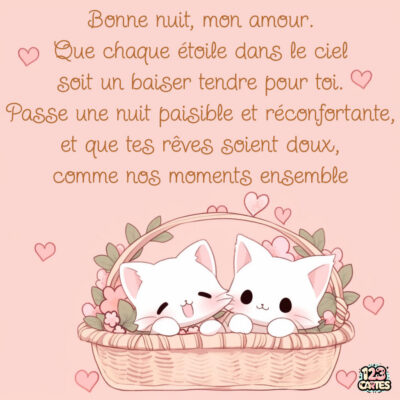 Image d'une illustration kawaii de deux chatons dans un panier, avec un fond rose et des cœurs, accompagnée d'un texte doux pour dire bonne nuit.
