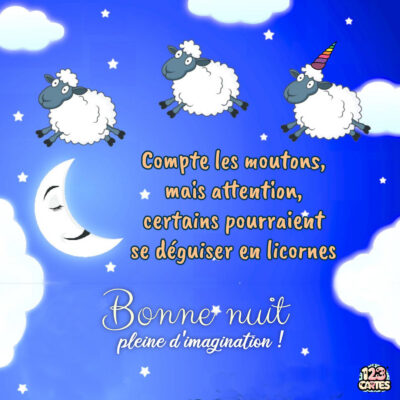 Image colorée de nuit avec un ciel bleu, des moutons blonds et une lune souriante, accompagnée d'un message humoristique.