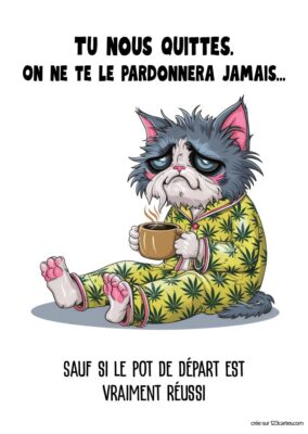 Image d'un chat triste en pyjama avec une tasse, assis sur le sol. Texte humoristique sur le départ d'un collègue.