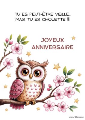 Image d'une chouette mignonne entourée de fleurs, avec le texte « Joyeux Anniversaire » et un message drôle en haut.