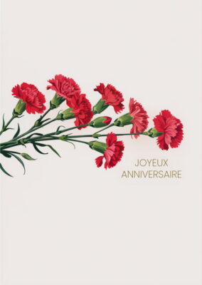 Branche d'œillets rouges aux pétales dentelés sur fond beige minimaliste et épuré.