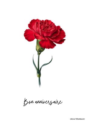 Carte anniversaire à imprimer, œillet rouge réaliste sur fond blanc, typographie manuscrite.