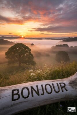 Paysage matinal avec soleil levant, brume et arbres. Un tronc de bois gravé «Bonjour» au premier plan. Ciel orangé et rose.