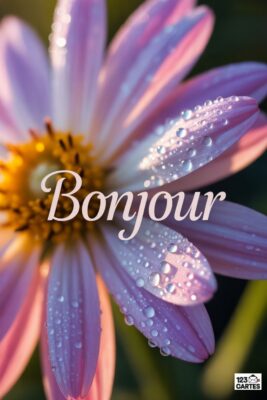 Fleur rose et jaune avec gouttes d’eau, texte «Bonjour». Détails macro, pétales roses, cœur jaune, fond vert flou. Carte postale bonjour.