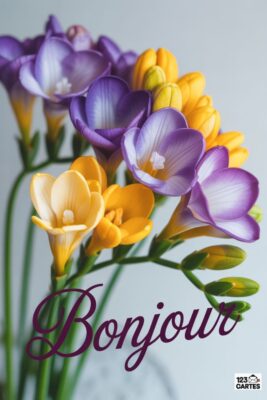 Fleurs de freesia violettes et jaunes, avec le mot «Bonjour» en lettres cursives bordeaux. Fond clair, composition florale élégante.