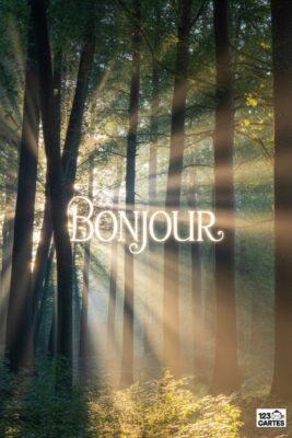 Forêt ensoleillée avec rayons de soleil traversant les arbres. Le mot «Bonjour» en blanc est superposé. Paysage boisé aux tons chauds et doux.