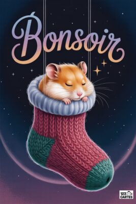 «BONSOIR» écrit en cursive au-dessus d’un hamster endormi dans une chaussette tricotée rouge et verte, fond étoilé bleu nuit. Carte de voeux.