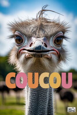 Gros plan d’une autruche regardant droit devant, avec le mot «coucou» en couleurs vives. Fond bleu ciel et autres autruches floues.