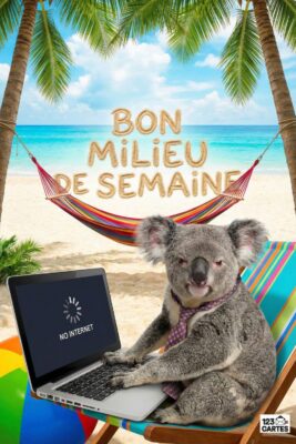 Koala sur plage avec ordinateur «No Internet«. Texte «Bon milieu de semaine». Palmiers, mer turquoise, hamac, transat rayé, ciel bleu.
