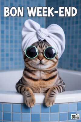 Chat tigré portant des lunettes de soleil et un turban blanc, dans une baignoire. Fond bleu carrelé. Texte «Bon Week-end» en haut.