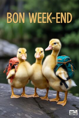 Trois canetons jaunes avec des sacs à dos orange et vert, devant un fond flou vert. Texte «Bon Week-end» en haut.
