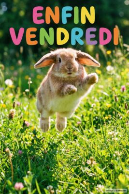 Lapin roux sautant dans l’herbe verte. Texte «Enfin Vendredi» multicolore en haut. Fleurs sauvages et soleil. Thème joyeux et printanier.