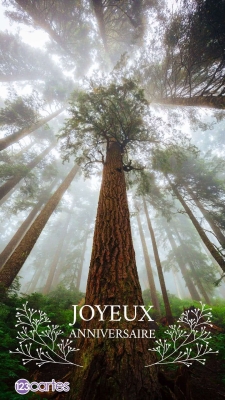 Forêt brumeuse avec un arbre majestueux au centre et le texte Joyeux Anniversaire en blanc avec des motifs floraux.