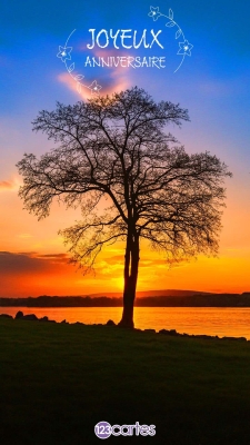 Coucher de soleil vibrant avec un arbre silhouetté et texte « Joyeux Anniversaire » en blanc. Paysage serein en arrière-plan.