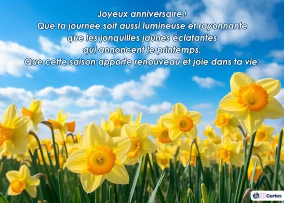 Champ de jonquilles jaunes sous un ciel bleu avec texte de vœux d'anniversaire en blanc, évoquant le printemps et le renouveau.