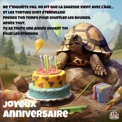 Tortue avec gâteau coloré d'anniversaire et bougies, entourée de ballons et cadeaux, texte humoristique sur la sagesse et l'âge.