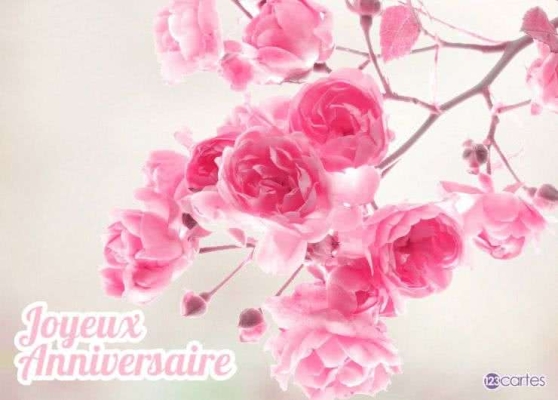 Bouquet de fleurs roses avec inscription « Joyeux Anniversaire » en bas à gauche. Fond blanc élégant et floraison délicate.