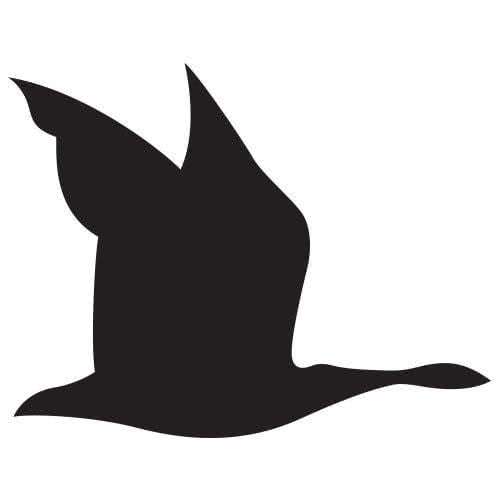 Silhouette oie