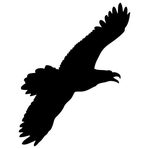 Silhouette aigle en plein vol