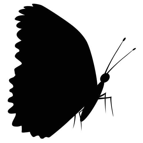Silhouette papillon présenté de côté, mettant en valeur ses ailes largement déployées.
