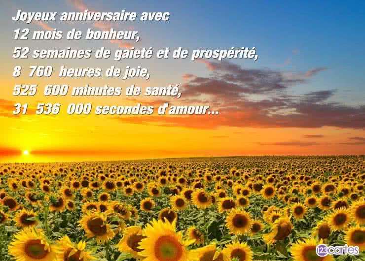 carte anniversaire joyeux anniversaire avec 12 mois de bonheur