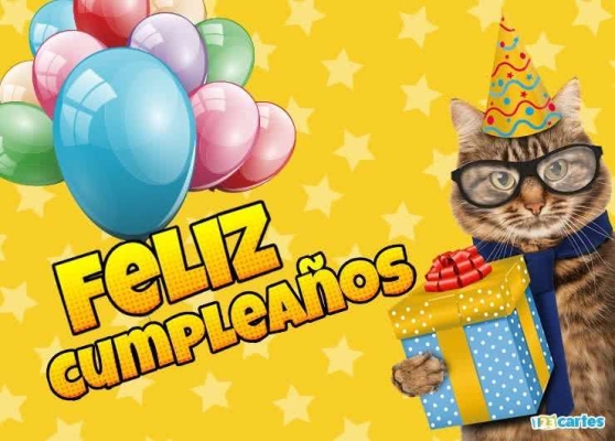 Chat avec chapeau de fête tenant un cadeau, Feliz Cumpleaños en texte jaune vif avec des ballons colorés sur fond étoilé.