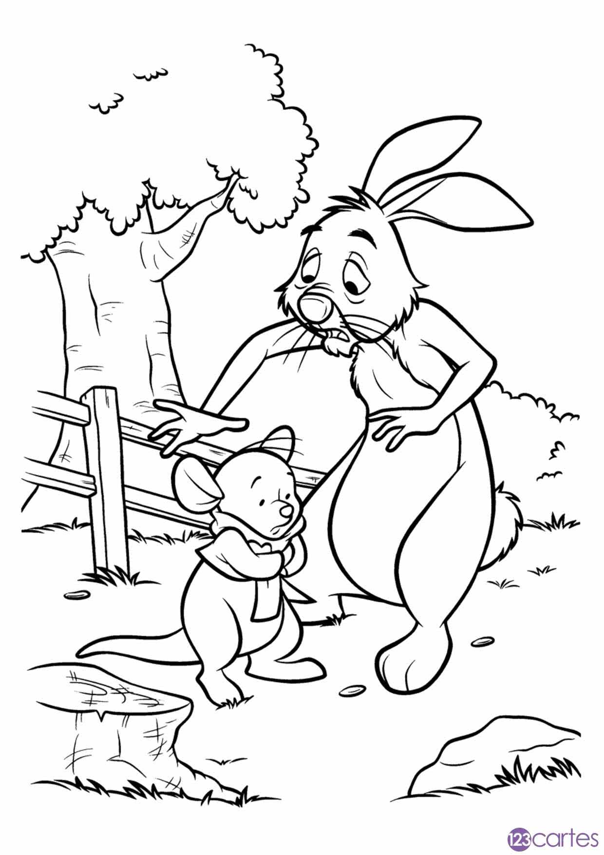 Coco lapin et petit gourou