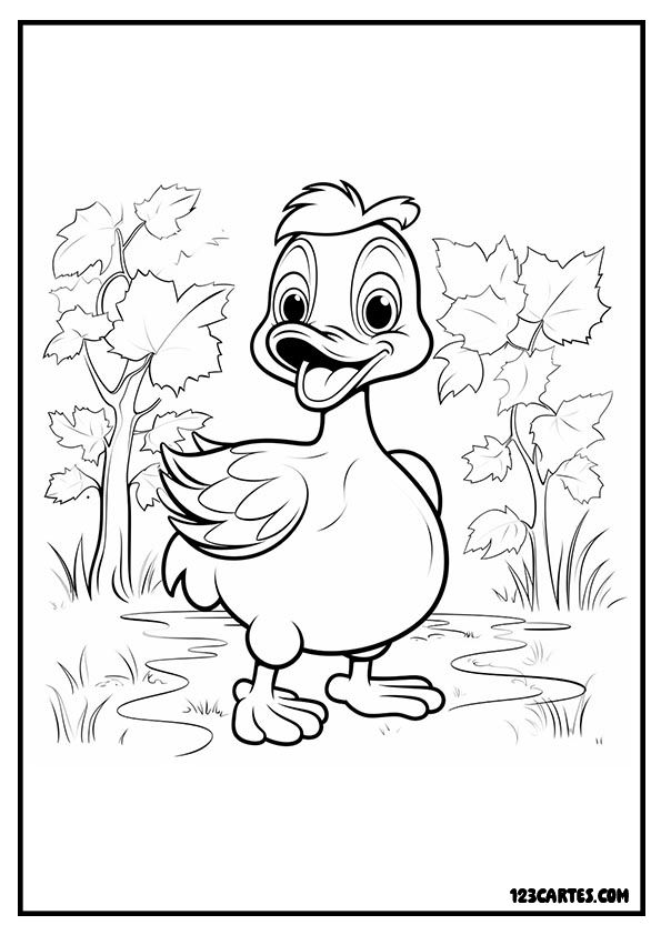 Coloriage canard dans l'herbe, découverte de l'habitat